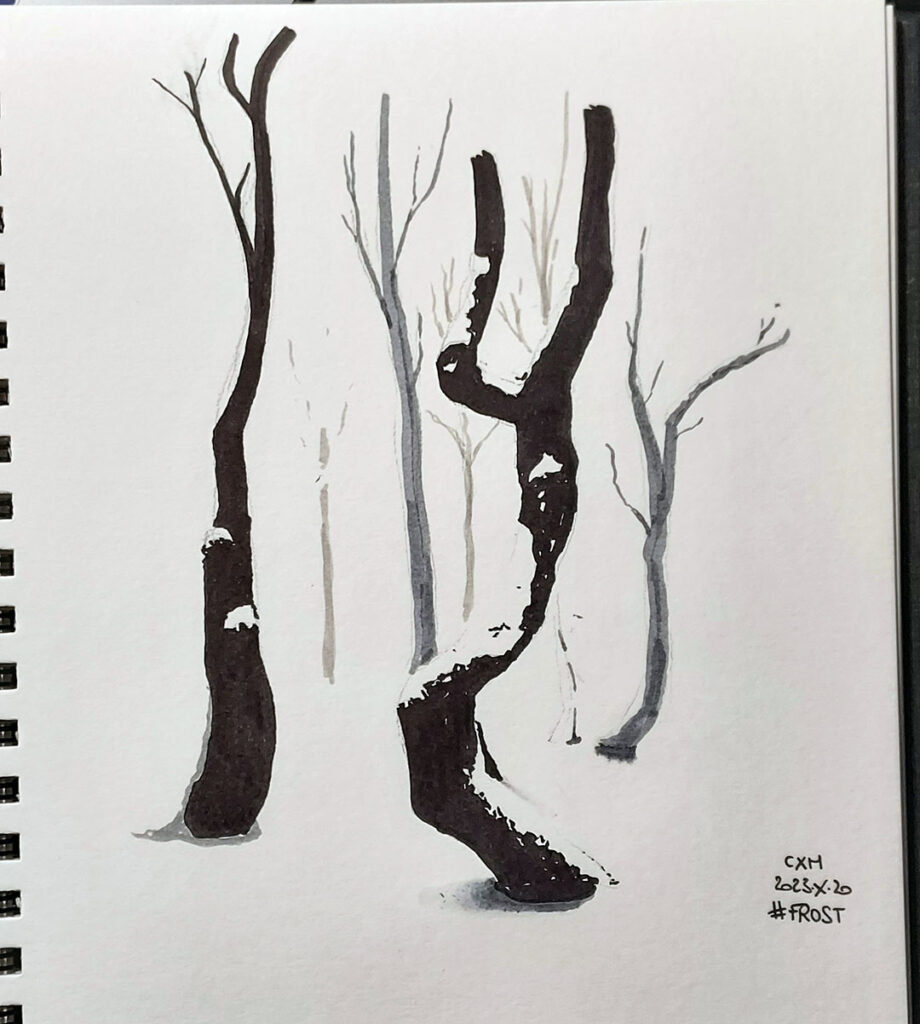 Des arbres dans un décor hivernal