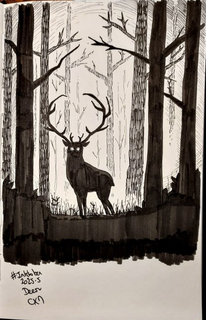 Un cerf en contre jour dans une forêt en contre jour aussi